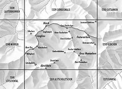 Swisstopo - Landeskarte Schweiz - 1249 Finsteraarhorn, 1:25000