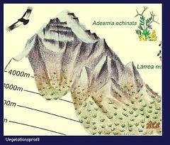 Climbing Map - Karte Cerro Aconcagua, 1:40.000