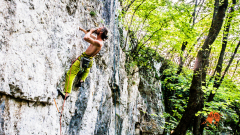 Wild Climb - Boulderschuh/Kletterschuh Mangusta, green, Gr. 39,0