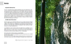 Panico - Kletterf黨rer Vorarlberg Sportklettergebiete vom Rheintal bis Arlberg