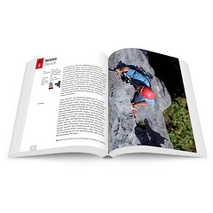 Panico - Kletterf黨rer Bayerische Alpen Band 3 - Bayrischzell bis Benediktbeuern