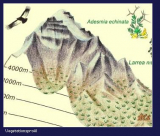 Climbing Map - Karte Cerro Aconcagua, 1:40.000