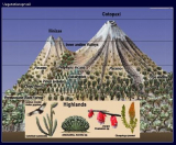 Climbing Map - Karte Cotopaxi, 1:40.000