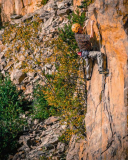 Panico - Kletterf黨rer Odenwald