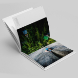 Panico - Bildband The Young Savages / Die jungen Wilden (Claudia Ziegler)