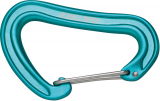 Edelrid - Karabiner Nineteen G II Wire Gate, icemint