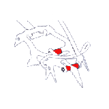 Black Diamond - Ersatzteil Bionic Spacer Kit