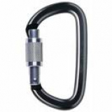 Petzl - Karabiner AmD Screw-Lock, gray