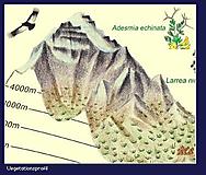 Climbing Map - Karte Cerro Aconcagua, 1:40.000